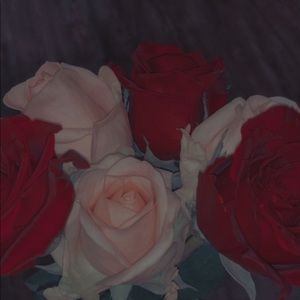 Meet your Posher, Cynthia